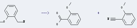 o-Anisic acid can be prepared by 2-methoxy-benzylamine.